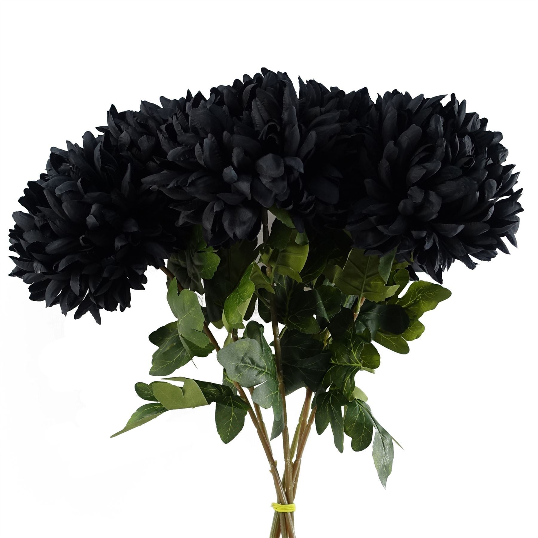 Pack of 6 x 75cm Extra Large Reflex Chrysanthemum - Black - Premium Quality