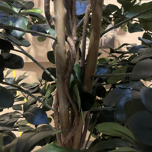 180cm Fire Retardant Black Olive Tree with 2925 Leaves and Natural Trunk - Premium Quality