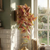 Pack of 6 x 30cm Artificial Trailing Pink and Green Caladium - Premium Quality