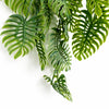 Pack of 6 x 80cm Trailing Tropical Monstera Plant - Sage Green