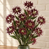 72cm Artificial Burgundy Spider Lily Stem