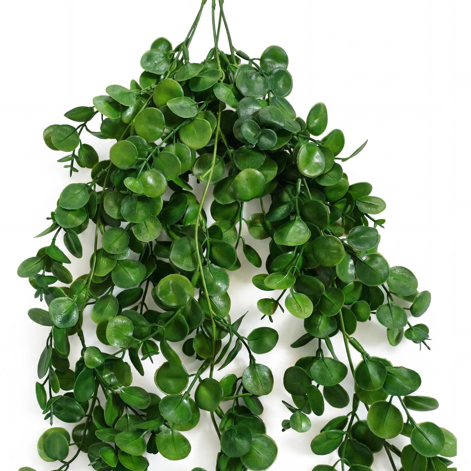 Pack of 6 x 75cm Artificial Trailing Round Botanik Hanging Foliage Plant - Deep Forest Green - Premium Quality