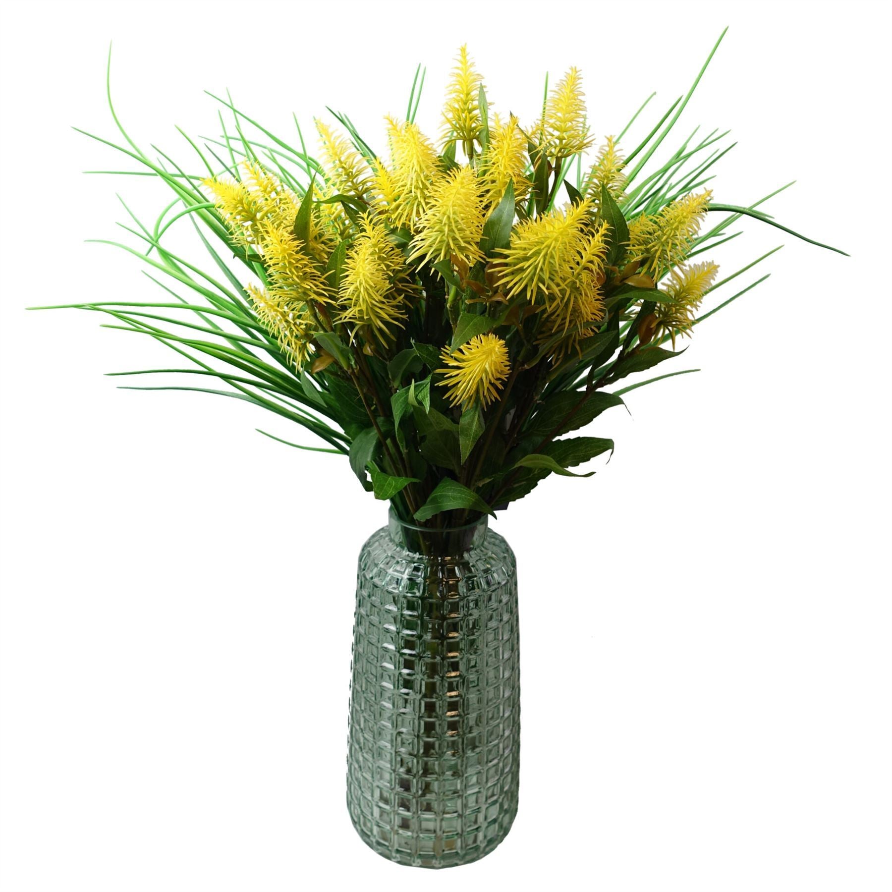 Pack of 6 x 55cm Callistemon Pallidus Yellow Bottle Brush Stem - Premium Quality