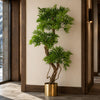 140cm Realistic Artificial Japanese Fruticosa Tree Ficus Tree Gold Metal Brushed Brass Planter