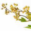 Pack of 6 x Artificial Foliage Yellow Berry Stem 90cm