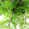 Artificial Fern Plant 30cm Botanical Fern 30cm In Plant Pot