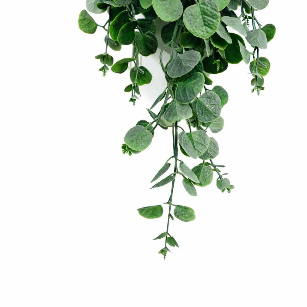 Pack of 6 x 75cm Artificial Trailing Round Botanik Hanging Foliage Plant - Soft Eucalyptus Green - Premium Quality