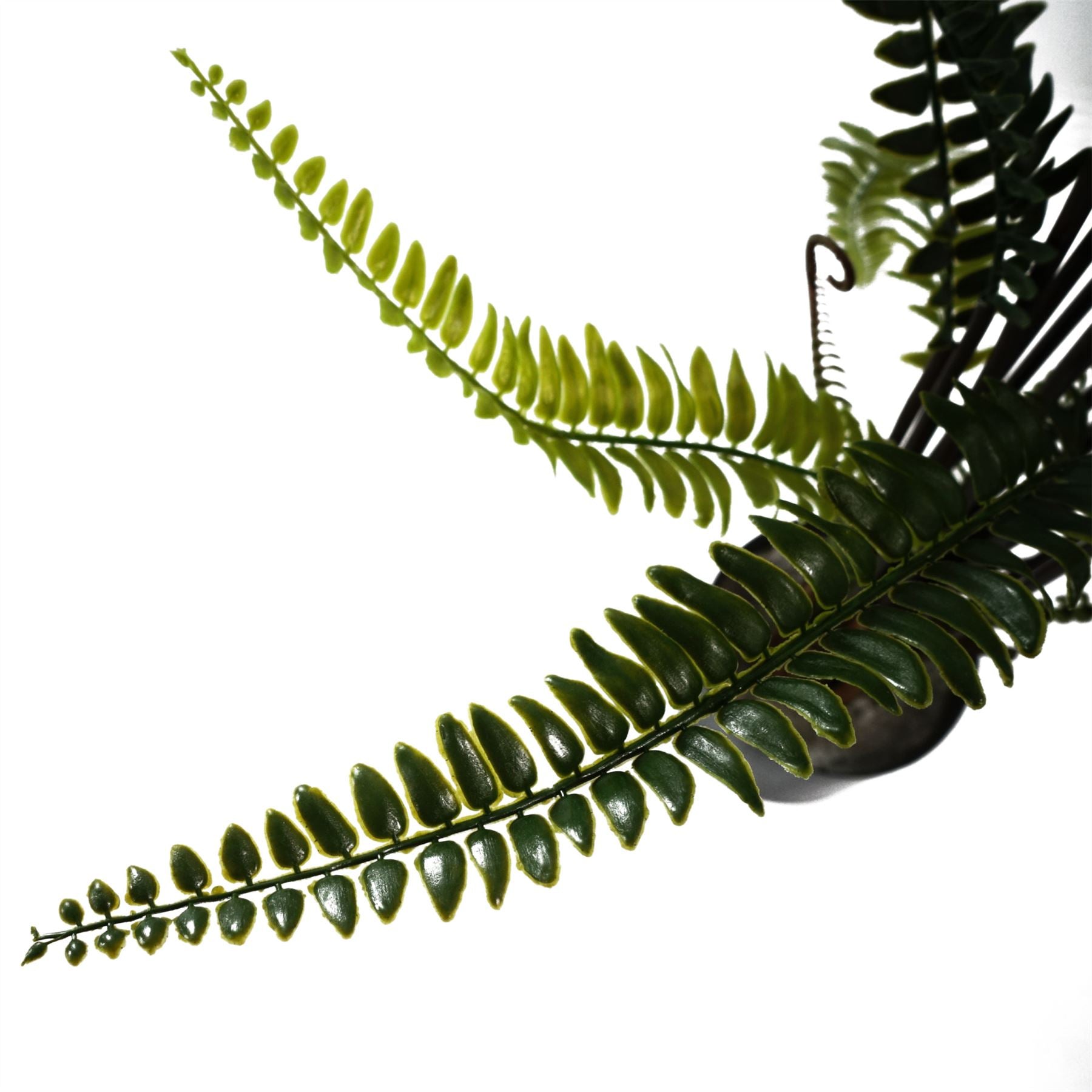 Leaf Design 90cm UV Resistant Artificial Boston Fern Plant