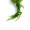 Pack of 6 x 75cm Artificial Trailing Fern Bush Hanging Faux Greenery Plant