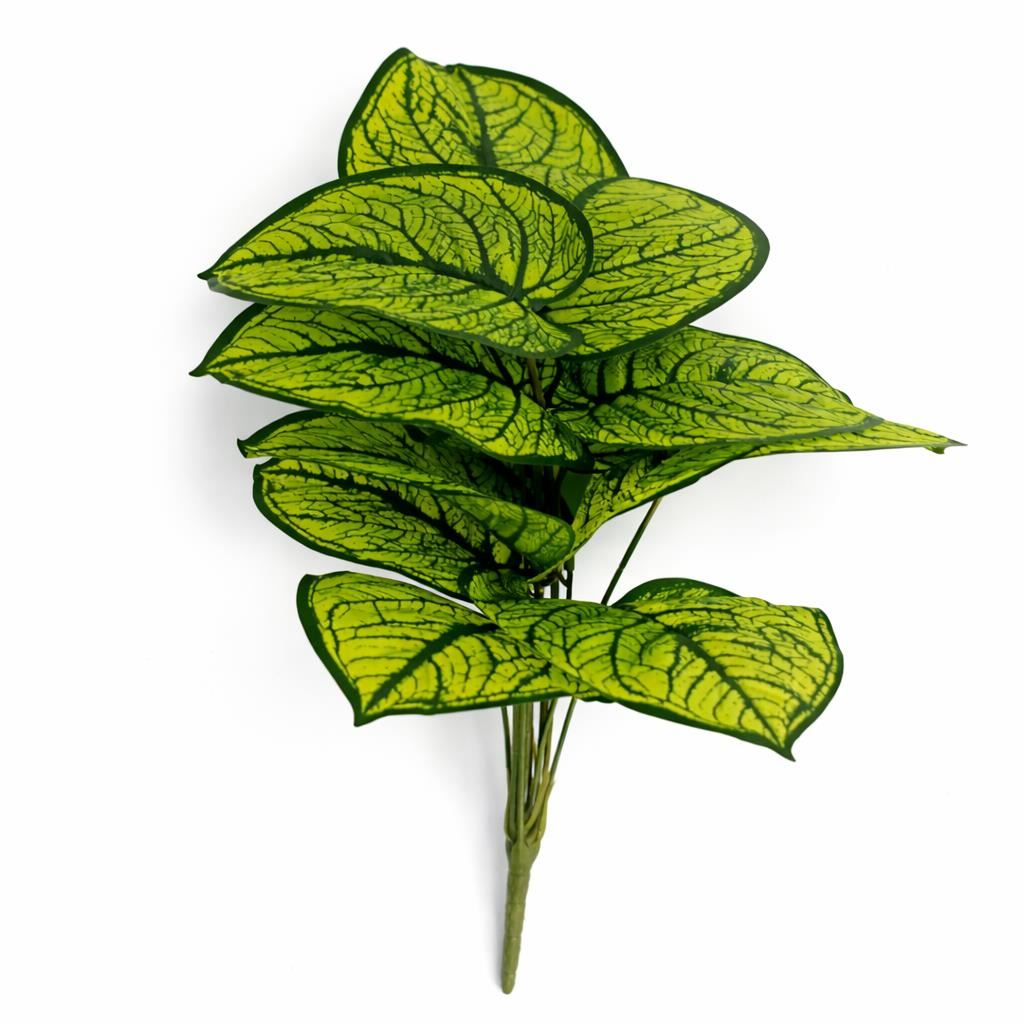 Pack of 6 x 60cm Artificial Caladium Style Stem Plant Bright Green Variegated Faux Foliage Arrangement