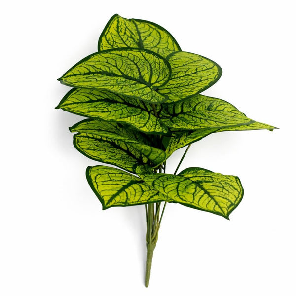 Pack of 6 x 60cm Artificial Caladium Style Stem Plant Bright Green Variegated Faux Foliage Arrangement