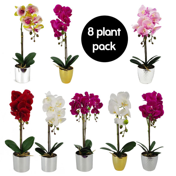 Pack of 8 Artificial Orchids in Pots