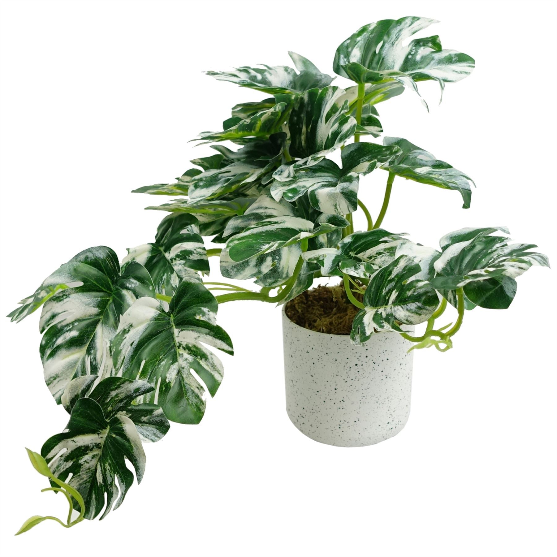 30cm Artificial Variegated Green Potted Monstera Trailing Plant