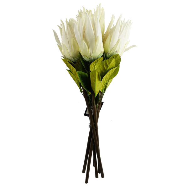 Pack of 6 x 65cm Protea Sugarbush Flower Stem - White - Premium Quality