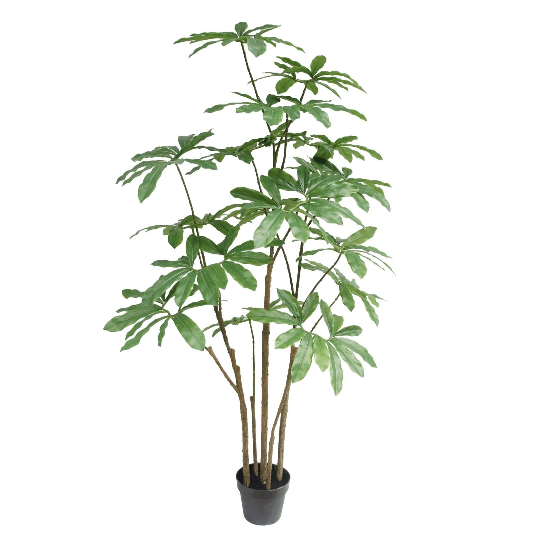 150cm Dwarf Umbrella Realistic Artificial Tree - Premium Quality