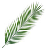 Pack of 6 x 100cm Realistic Artificial Palm Botanik - Premium Quality