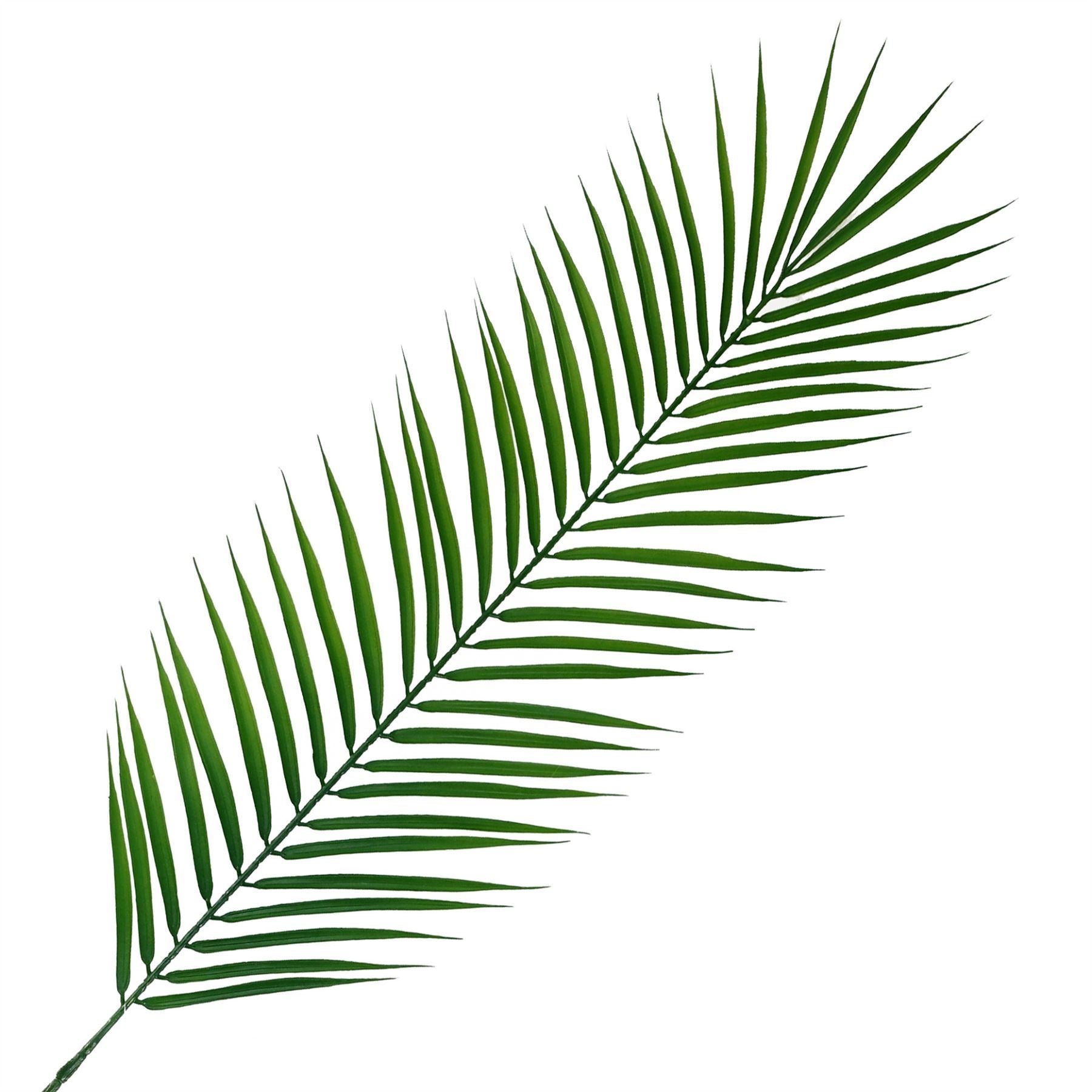 Pack of 6 x 100cm Realistic Artificial Palm Botanik - Premium Quality