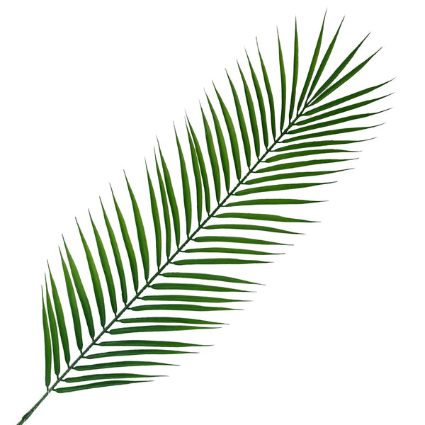 Pack of 6 x 100cm Realistic Artificial Palm Botanik - Premium Quality