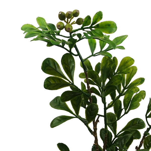45cm Artificial Aglaia Odorata Bonsai Ficus Tree - Premium Quality