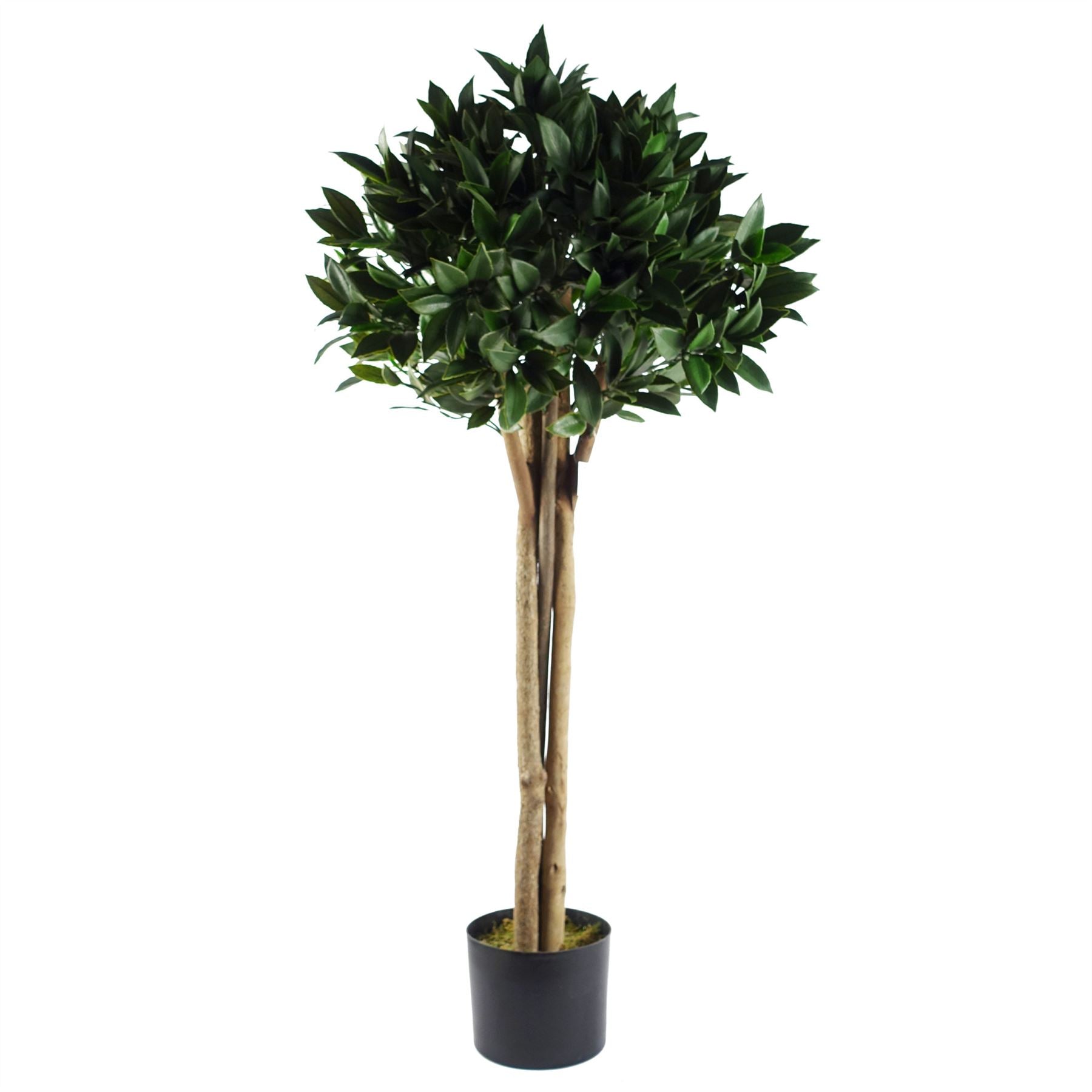 Bay Tree UV Resistant Outdoor Topiary 120cm Botanik