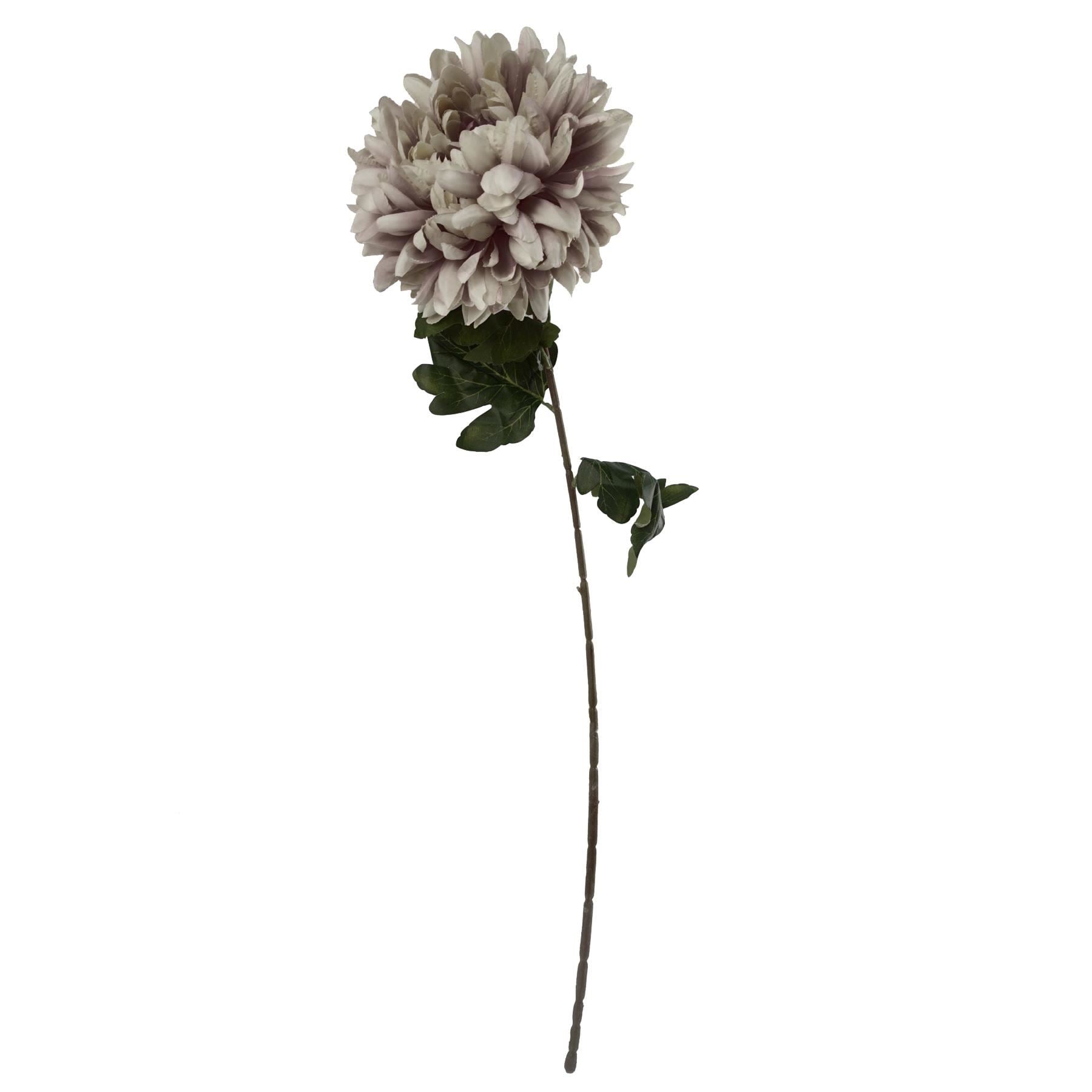 Pack of 6 x 75cm Extra Large Reflex Chrysanthemum - Mushroom - Premium Quality