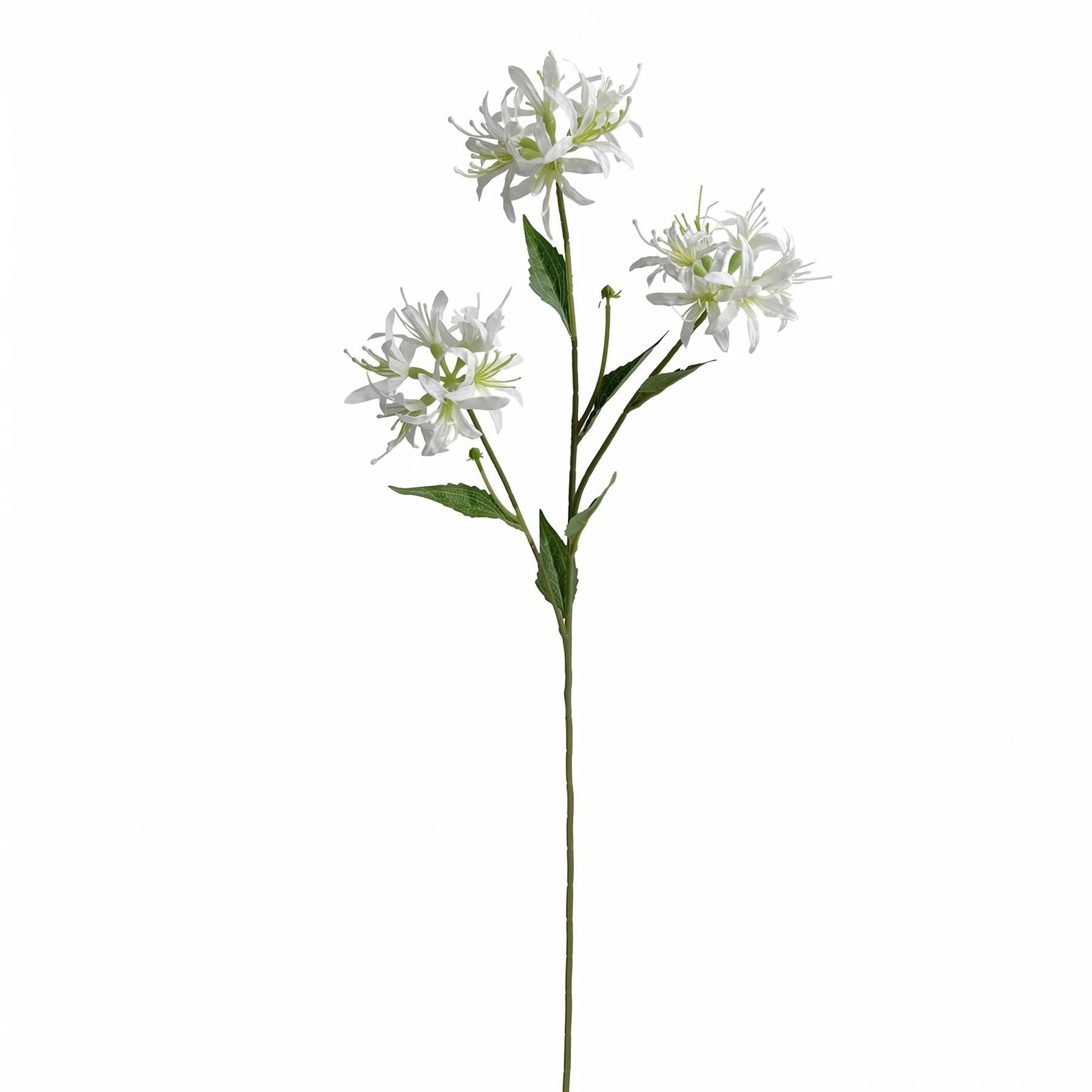 Pack of 6 x 72cm Artificial White Spider Lily Stems