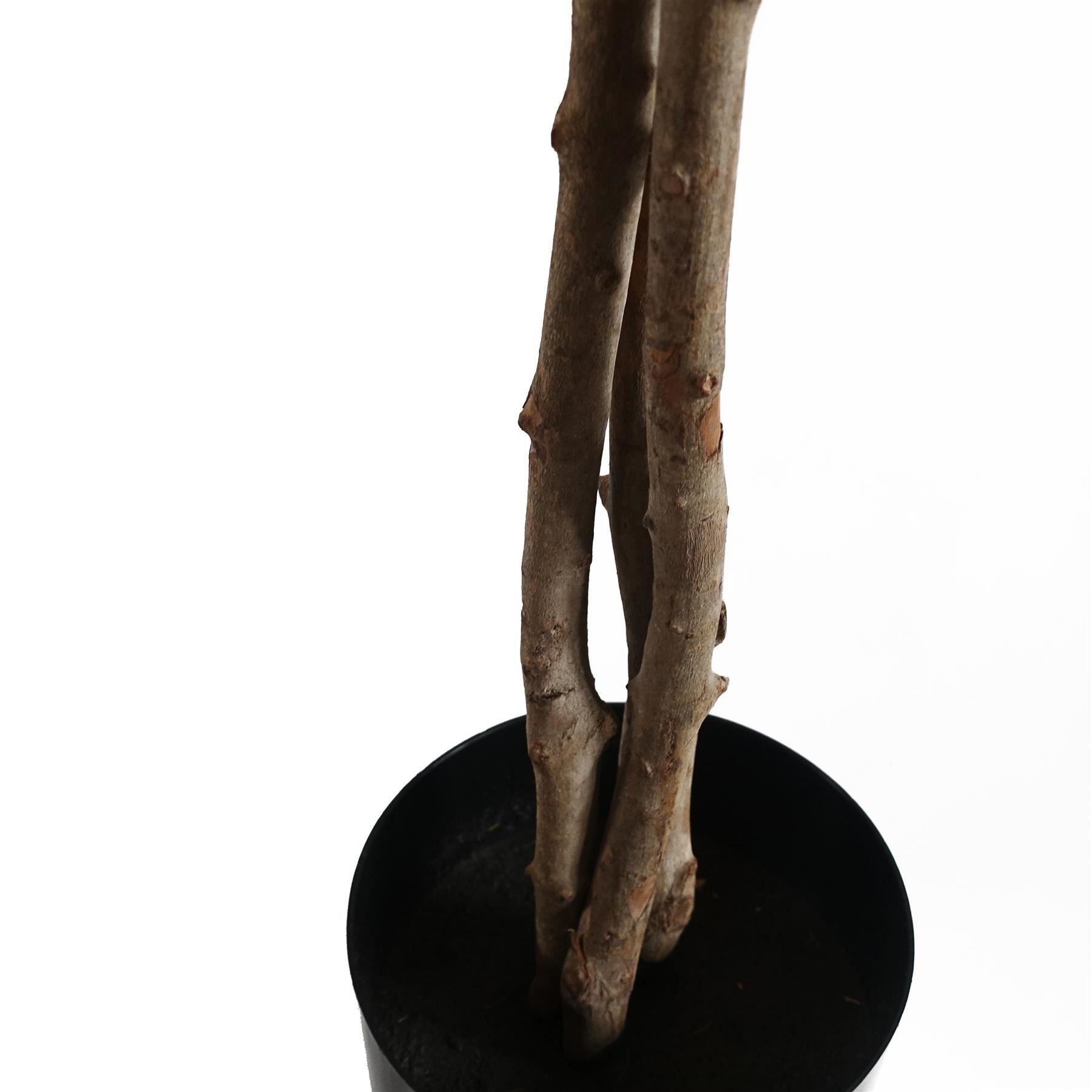 60cm Artificial Forsythia Tree - Premium Quality