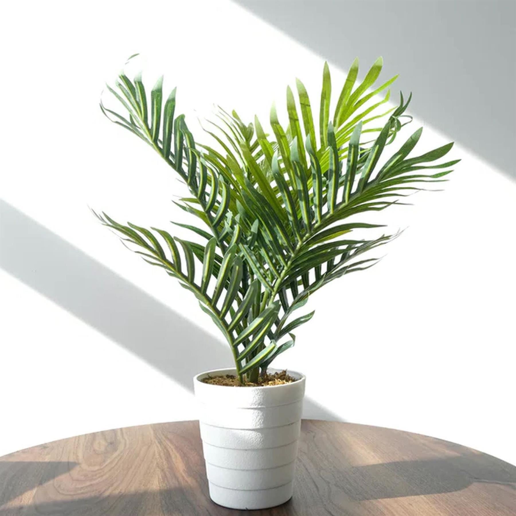 50cm Artificial Mini Palm Tree - Premium Quality