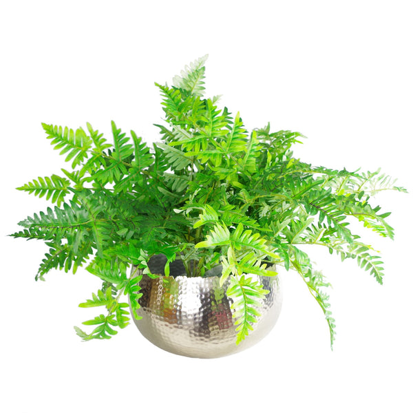 Leaf Large Metal Planter Edge Metal Planter 20cm