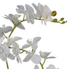 65cm Artificial Luxury Artificial Orchid - 3 Stems - Soft White Plant