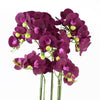 Large Orchid Purple - 41 REAL TOUCH flowers