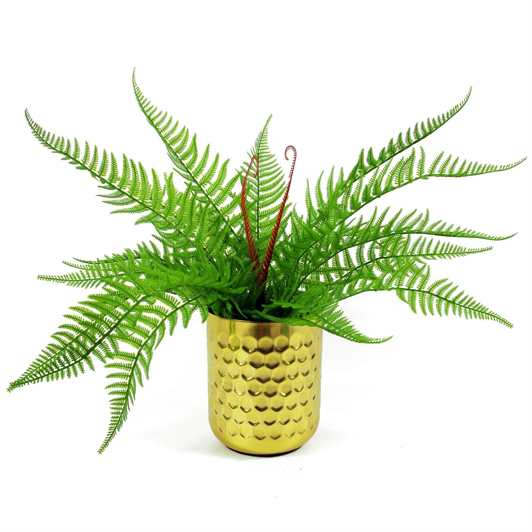 Artificial Fern Plant 60cm Bushy Dixie Wood Fern Plant Pack x 6