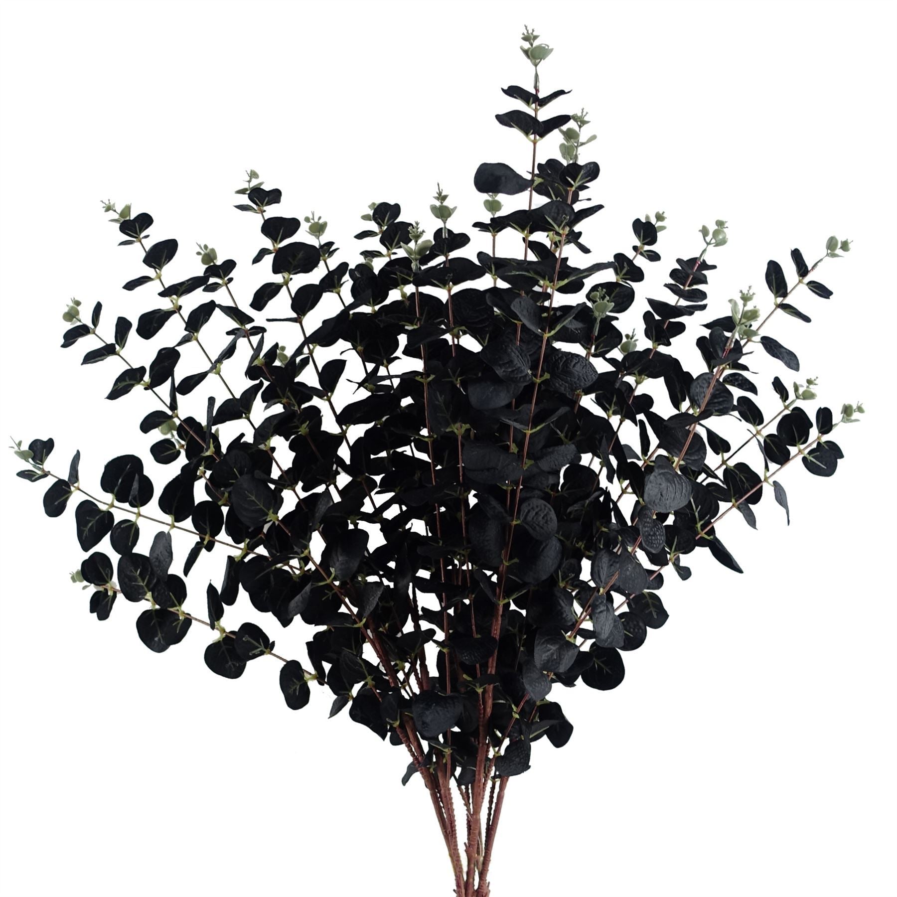 Pack of 6 x 80cm Black Eucalyptus Foliage Stem - Premium Quality