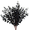 Pack of 6 x 80cm Black Eucalyptus Foliage Stem - Premium Quality
