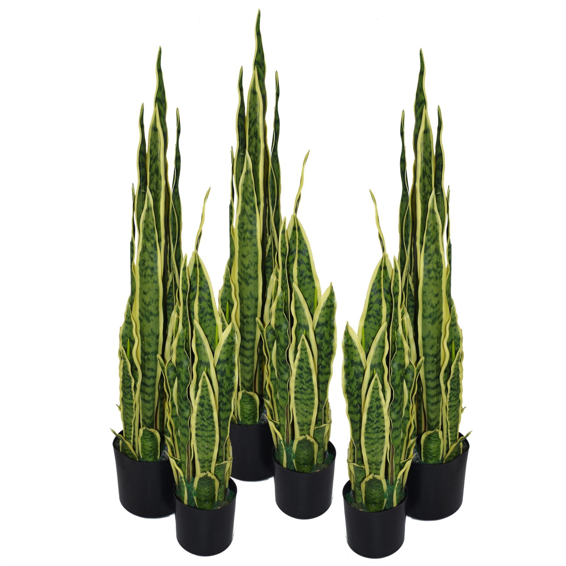 90cm (3ft) Artificial Sansevieria Yellow Green Indoor Plant