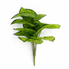 Pack of 6 x 60cm Artificial Caladium Style Stem Plant Bright Green Variegated Faux Foliage Arrangement