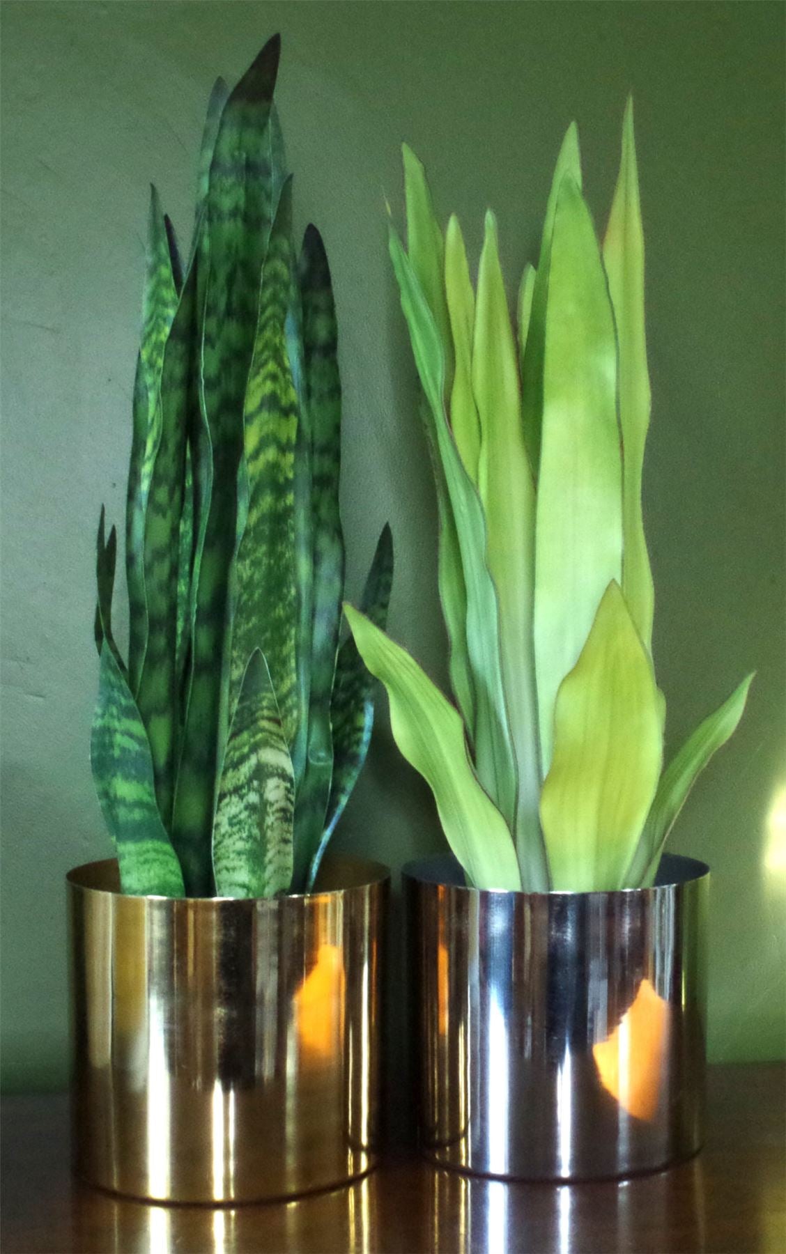 Leaf Metal Planter Plant Pot with Polished Gold Finish 20 x 18cm - Gold|Gold