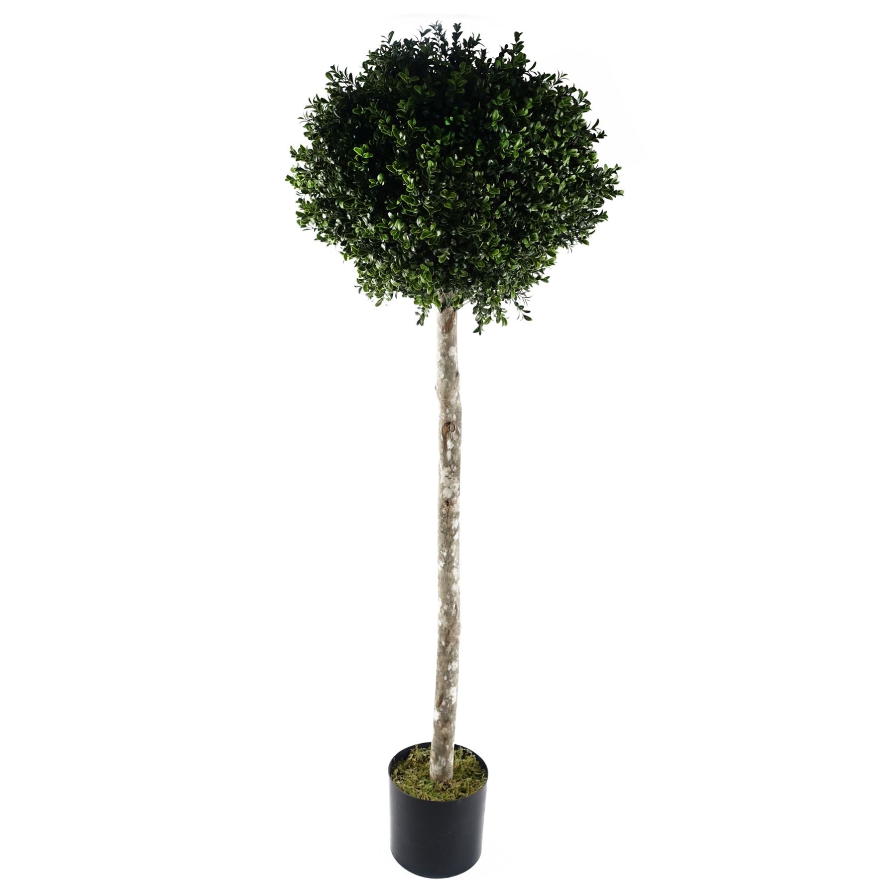 Buxus Ball Artificial Tree UV Resistant Outdoor Topiary  140cm Botanik