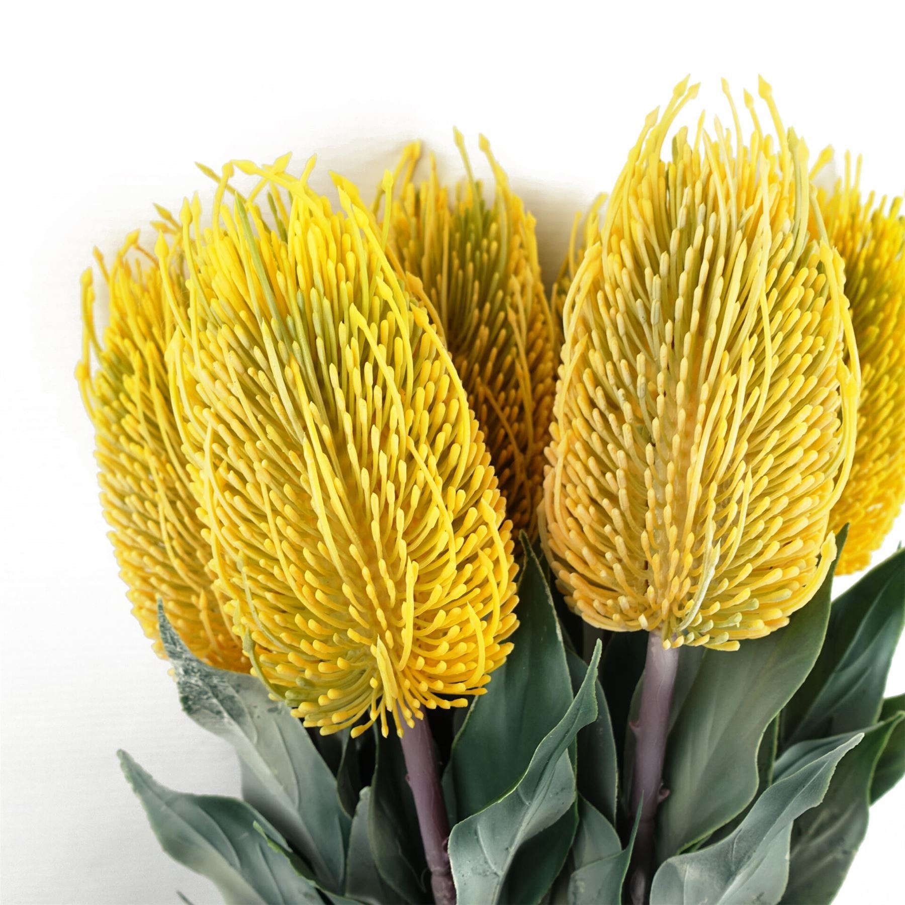 Pack of 6 x 75cm Banksia Menziesii Yellow Flower Stem Artificial - Premium Quality