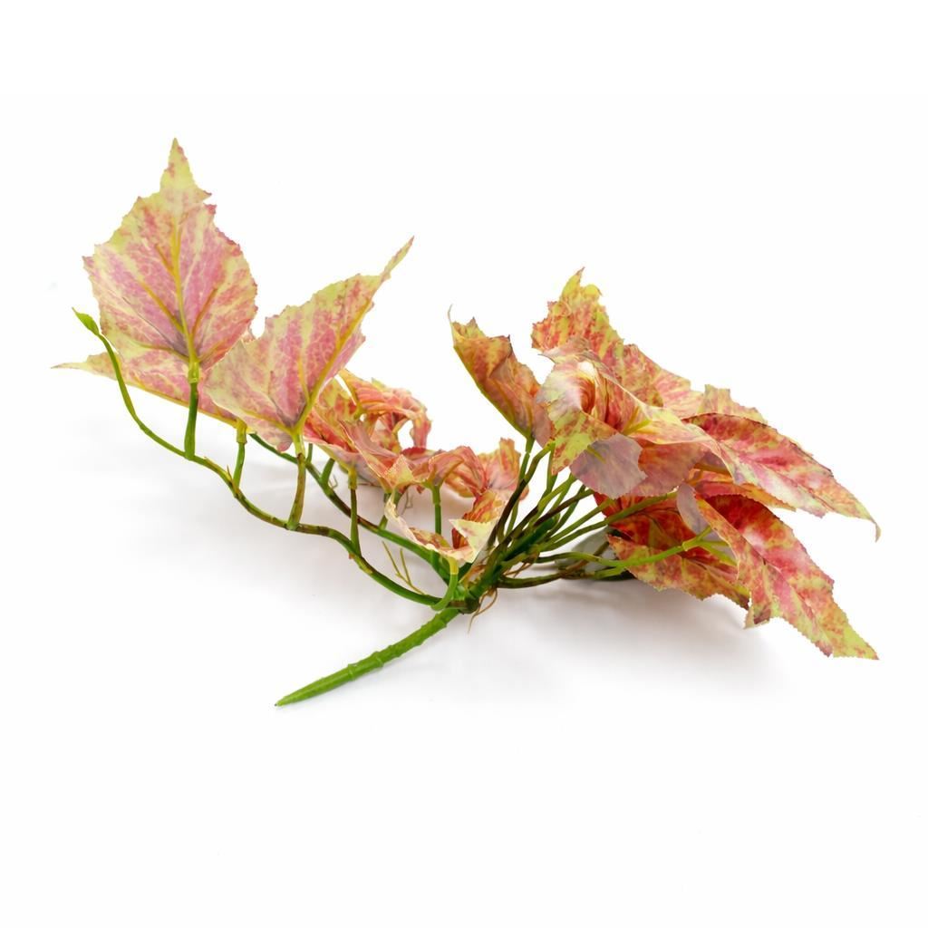 Pack of 6 x 30cm Artificial Trailing Pink and Green Caladium - Premium Quality
