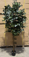 180cm Fire Retardant Black Olive Tree with 2925 Leaves and Natural Trunk