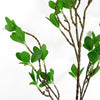 Pack of 6 x 100cm Mini Botanik Ficus Stem - Premium Quality