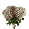 Pack of 6 x 75cm Extra Large Reflex Chrysanthemum - Mushroom - Premium Quality