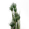 Artificial Ornamental Grass Plant 120cm