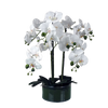 Artificial Orchid with Glass Planter White Botanik