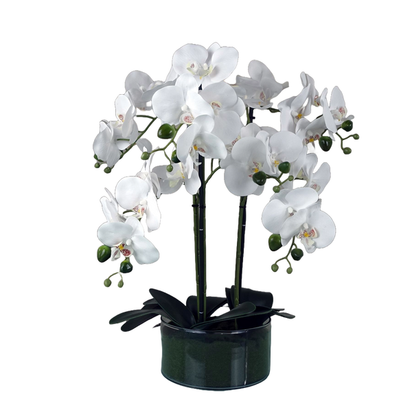 Artificial Orchid with Glass Planter White Botanik