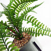 Large Artificial Fern Plant Planter &