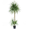 180cm Dracaena Realistic Artificial Tree