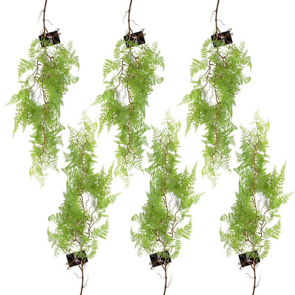 6 x 100cm Artificial Hanging Maidenhair Fern Plant Light Green - Premium Quality