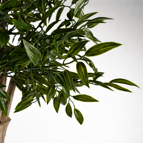 Artificial Plant Ruscus Tree- 2716 leaves UV PROTECTED OUTDOOR Botanik
